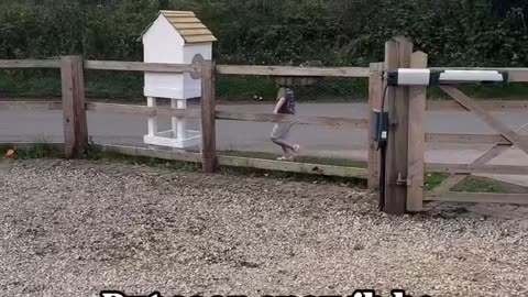 A Heartwarming Kids Story