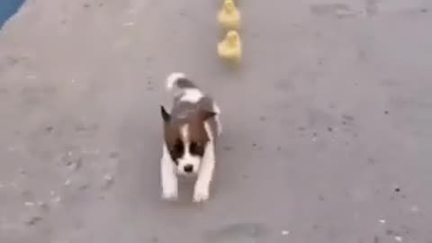 😱💨 Being Attacked, Run!