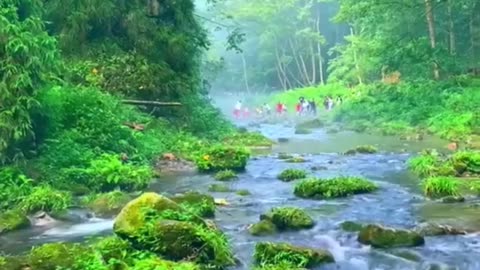 Attention! Planet Earth!