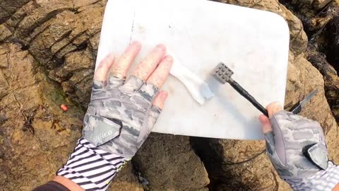 Reef Fishing Masterclass Victor Hogan’s Secrets to Catching Red Roman with an Occiblob!