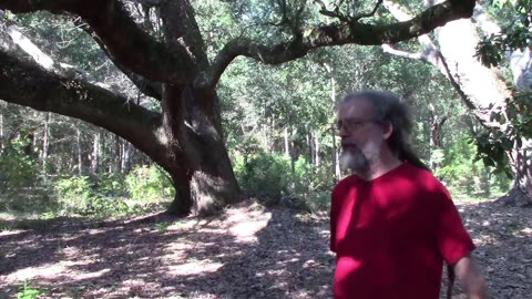 Melchizedek Part 7 Hidden Information About Jesus' Family