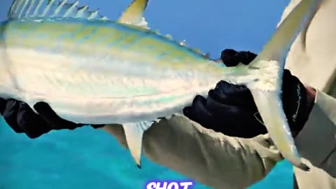 Fishing - Monster Catch!