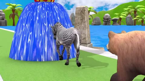 All type animals video for game