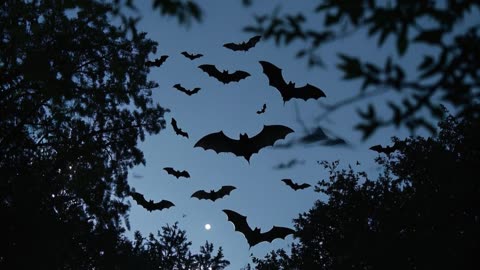 Why 1.5 Million Bats Live Under This Bridge in Austin, Texas 🦇 | Nature’s Wildest Urban Secret