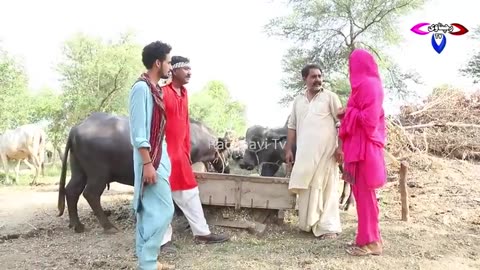funy saraki video