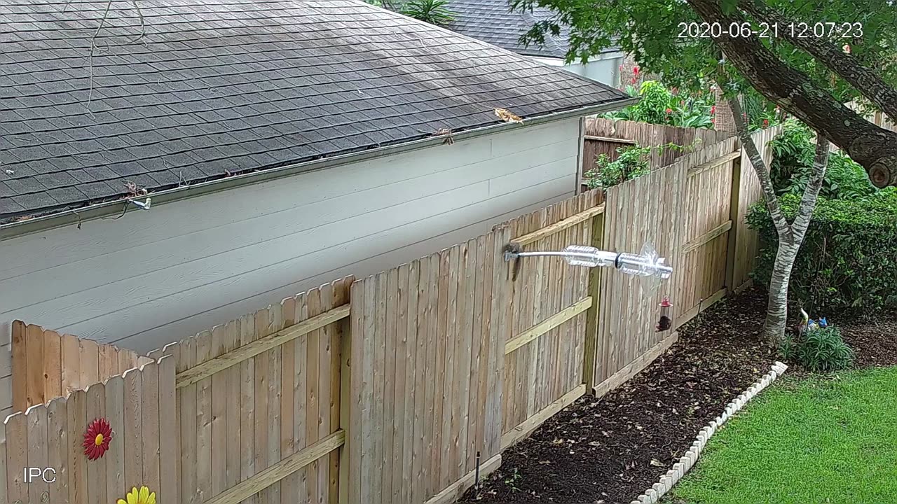 🤣🔊 The Persistent Squirrel's Hilarious Sound ON Moment! | FunFM