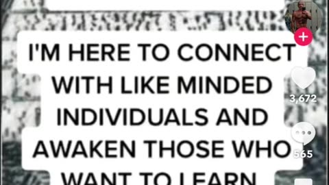 The Awakening - together or you can....Go Your Own Way
