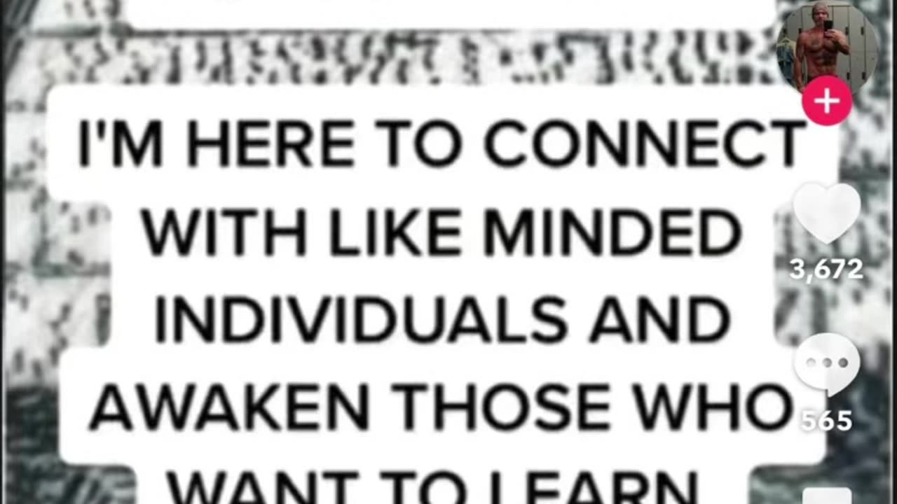 The Awakening - together or you can....Go Your Own Way