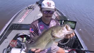 The Young Right X AmFest