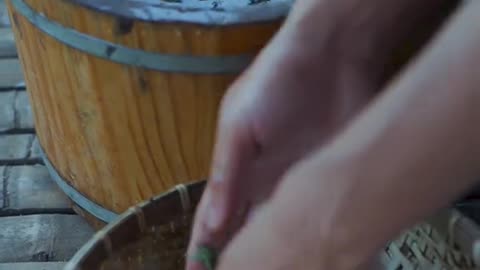 Cooking fried grasshoppers with lime leaves