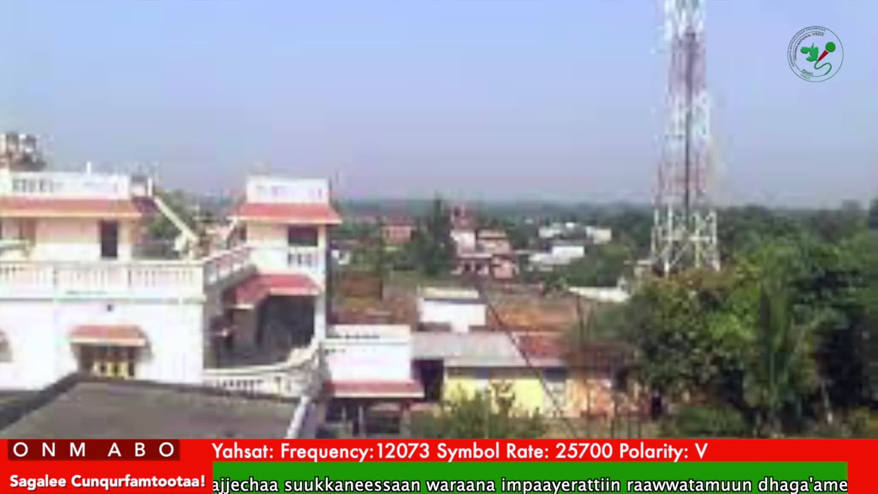 Oduu Ganama ONM-ABO Waxaabajjii 12-2025 itti dhiyaadhaa!