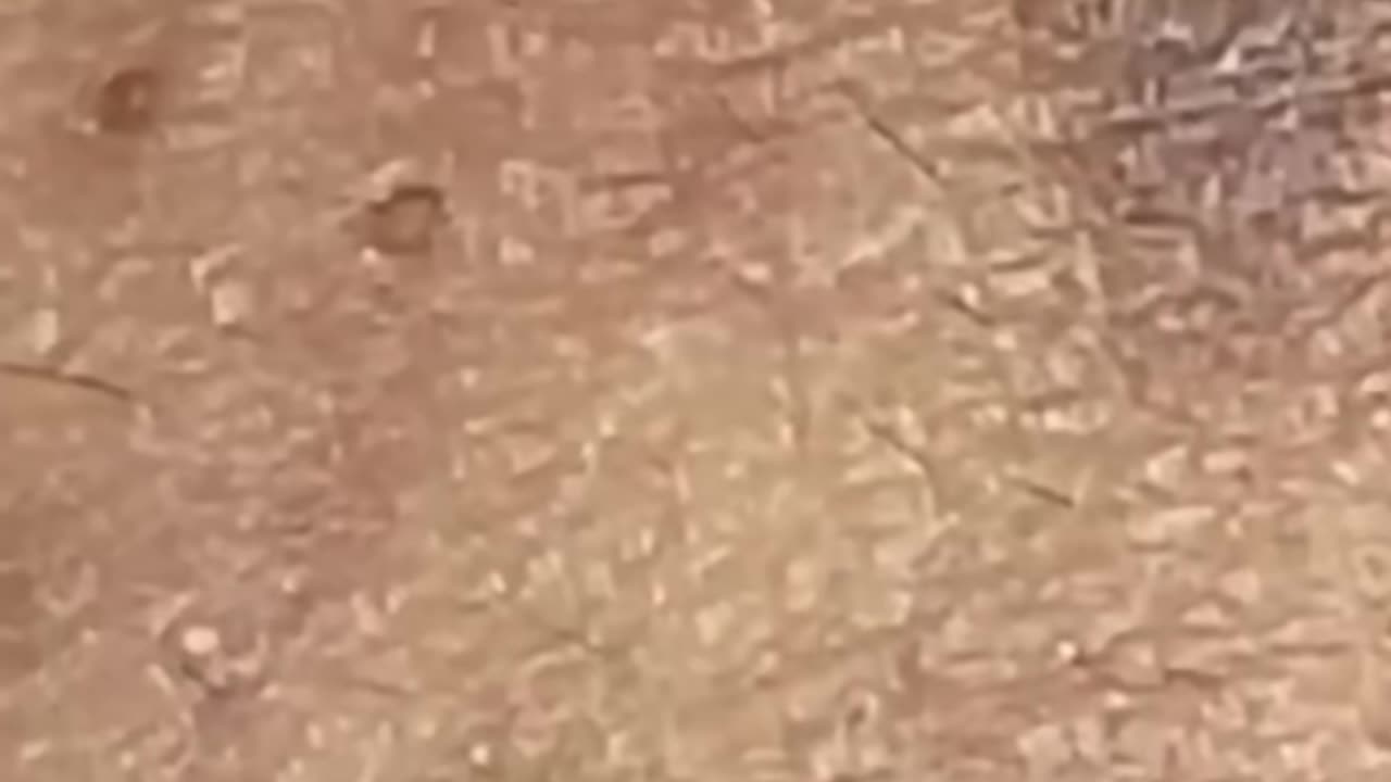 Remove blackheads