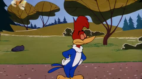Woody Woodpecker and Friends - 1962x02 - Home Sweet Homewrecker
