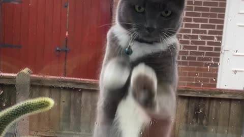 Loki Found a New Way of Being Very Annoying Even When Outside