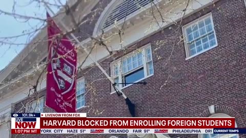 Trump administration blocks Harvard from enrolling international students