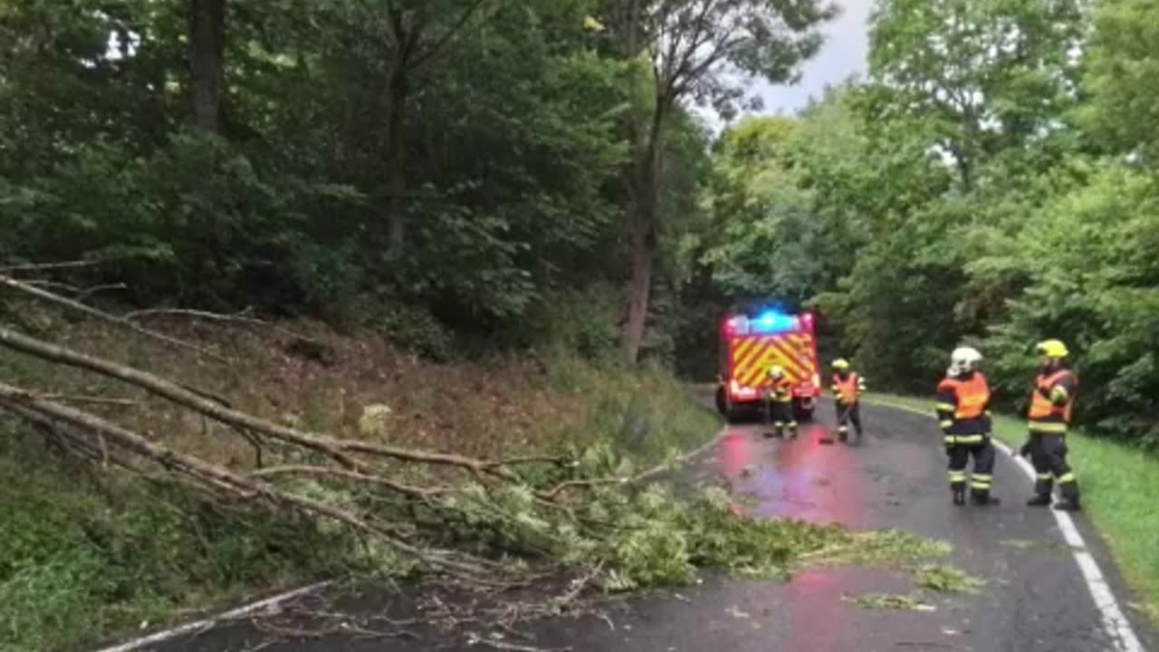 VÍCE MIKROPLASTŮ = VÍCE NEMOCÍ - AKTUALITY Z MAINSTREAMU 21.-23.6.2025