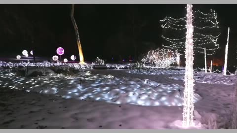 activities, snow days in canada, & winter trips! - PART 4