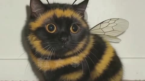 "Cat Acting Like a Bee 🐱🐝 | Funny Cat Moments You Must See!"