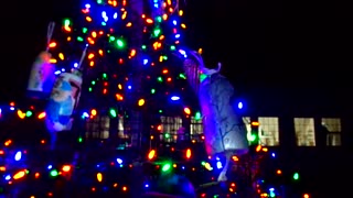 Christmas lights 12/8/25: