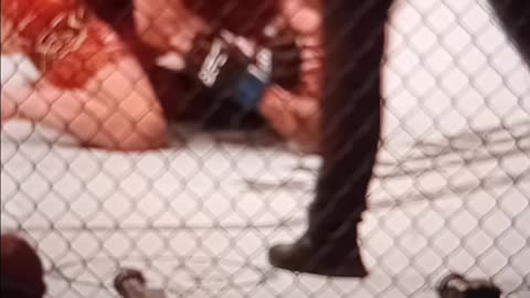 Charles Oliveira vs ilia topuria from the stands