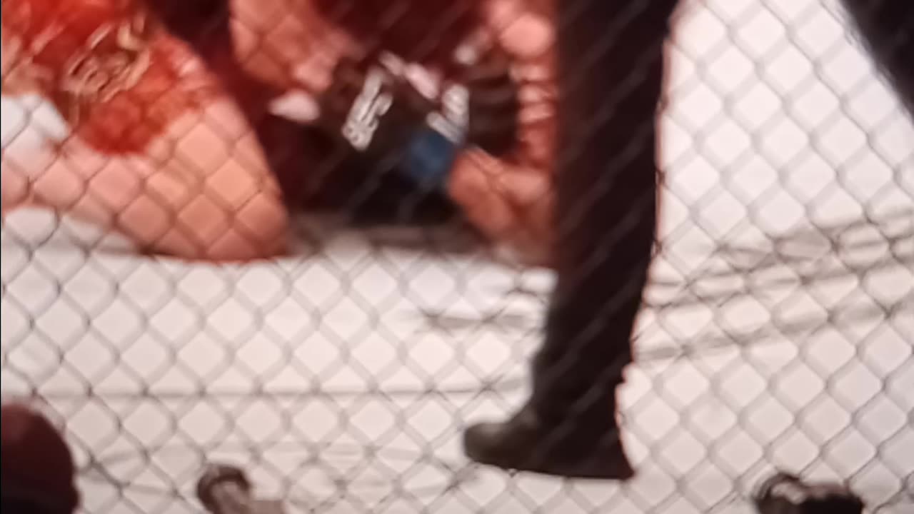 Charles Oliveira vs ilia topuria from the stands