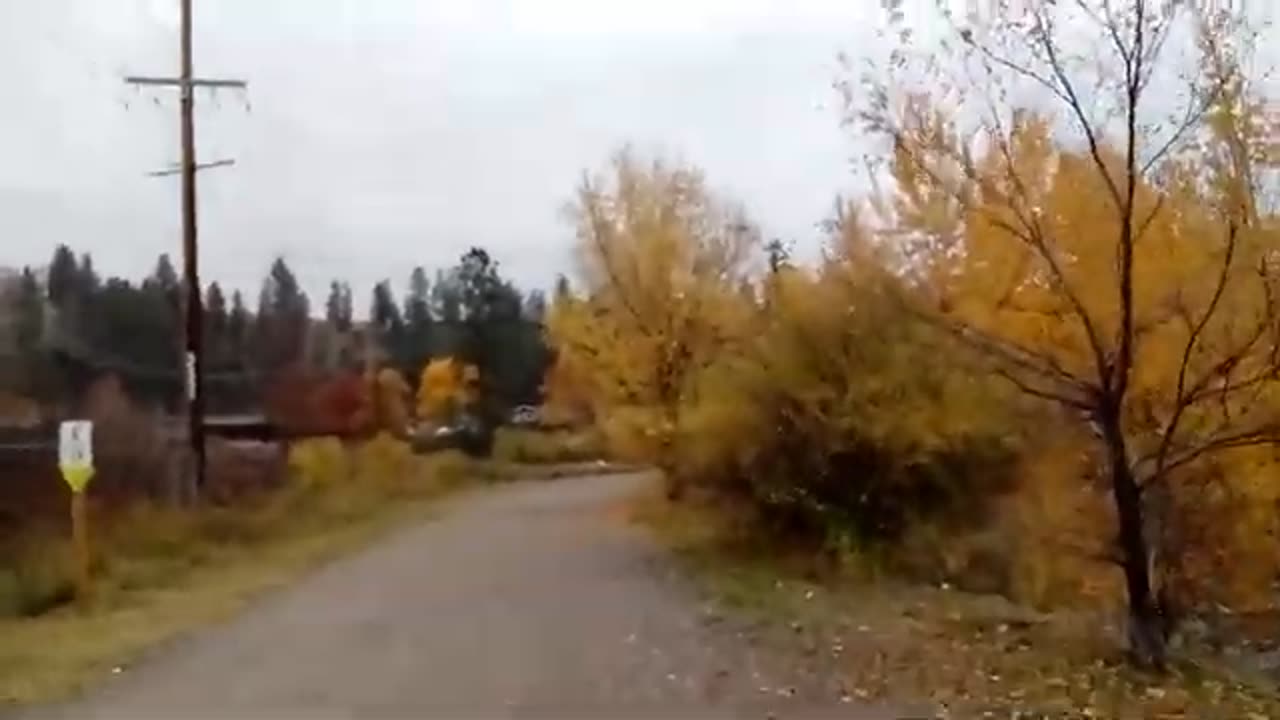 Exploring Fortis BC Substation And Fall Colors October 31 2024