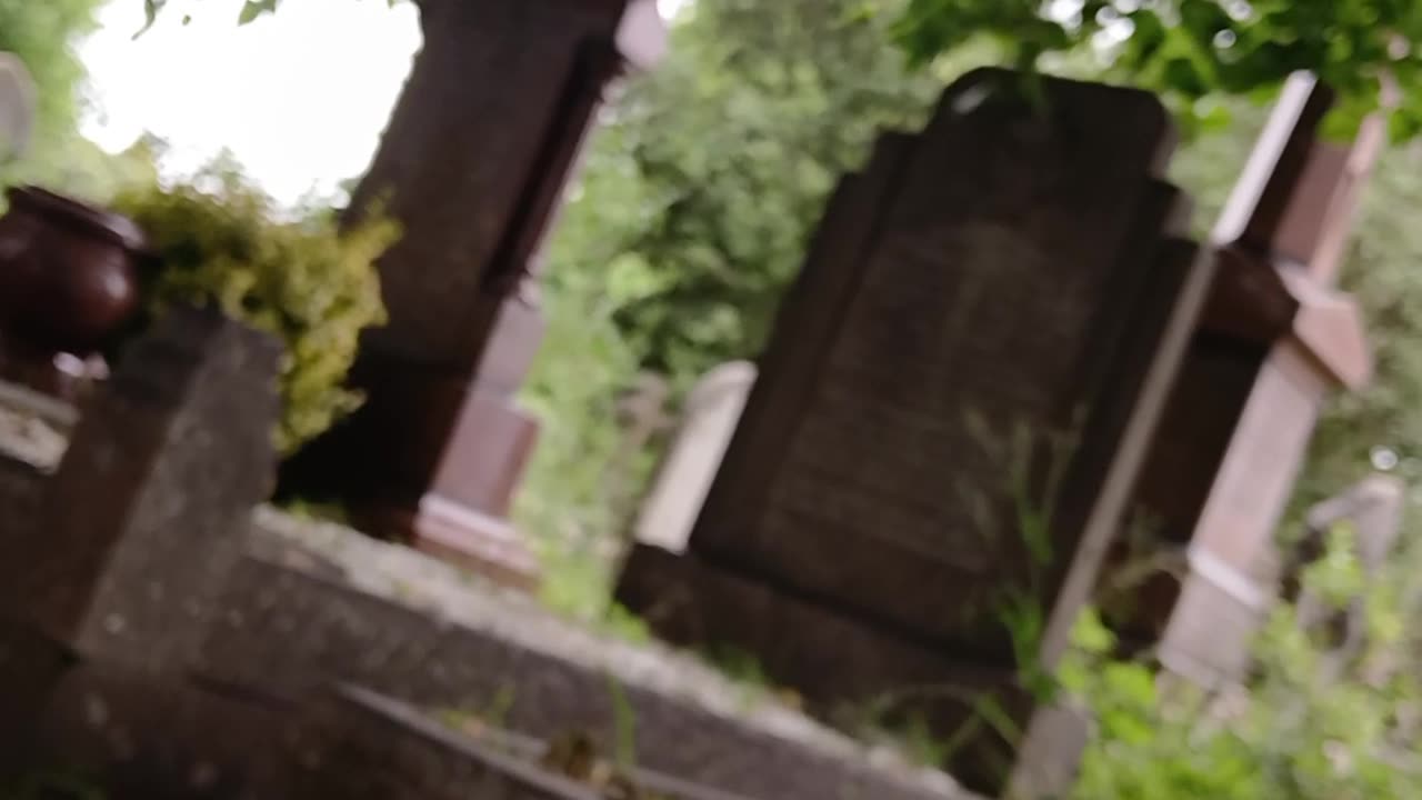 The truth accidentally filmed : Locals made my dog constantly on guard