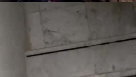 Lions Get Inside A House In Africa