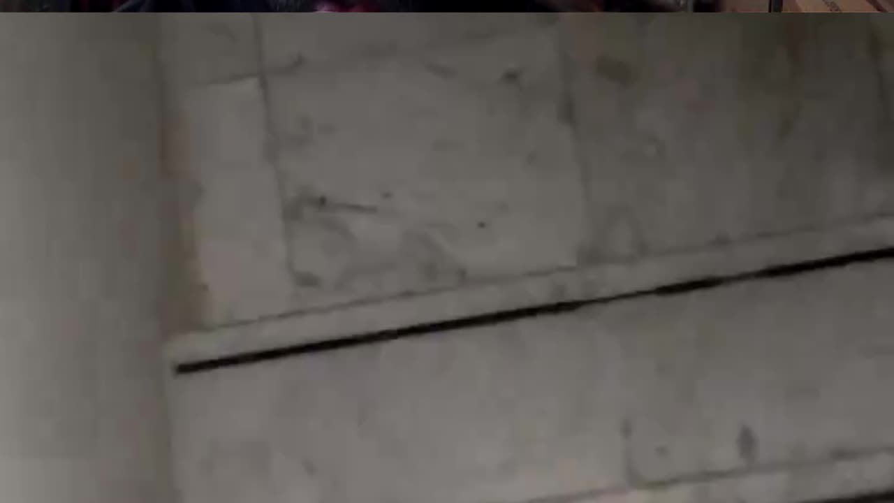 Lions Get Inside A House In Africa