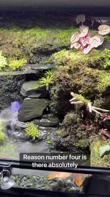 5 Reasons They’re Better!