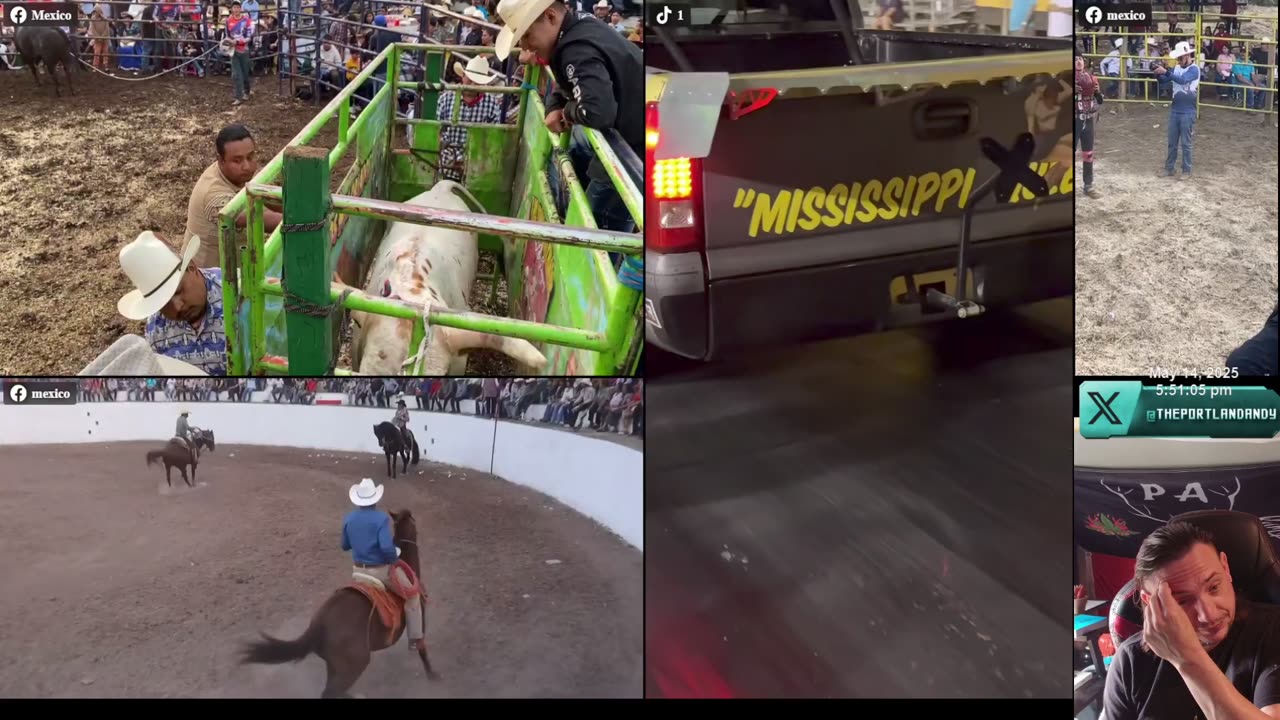 Canadian Ostrich Farm In Edgewood BC Tell Me About it ...