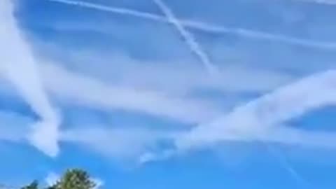 Disneyland Paris - NOTHING GOING ON ABOVE PEOPLES HEADS