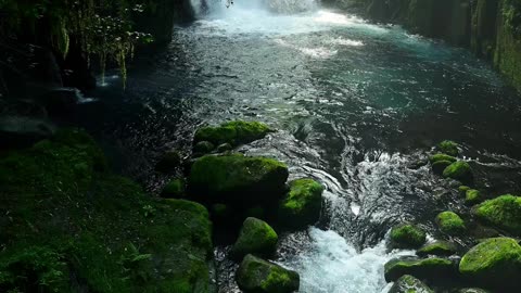 Nature