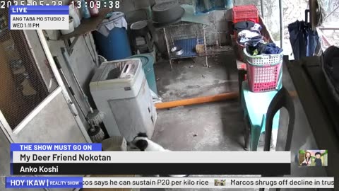 Mitsubishi Xpander 2019 Live
