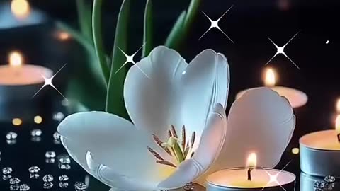 Beautiful