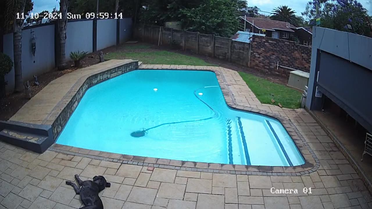 Car Comes Through Wall