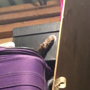 A true friend never leaves you behind ...