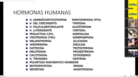 VONEX SEMIANUAL 2025 | Semana 14 | Anatomía