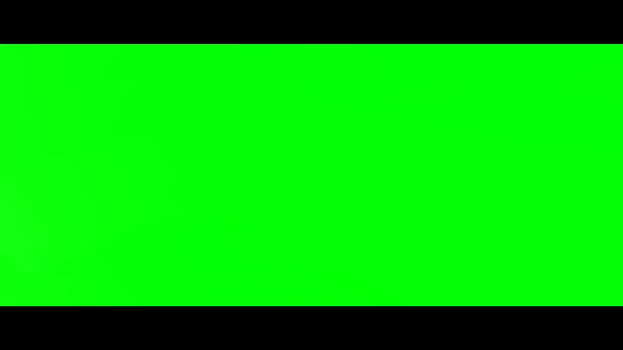 Looney Tunes All Star Collection Shorts 1 & 2 Reaction