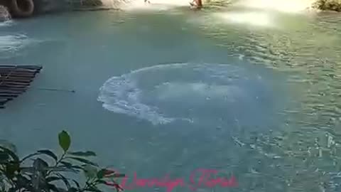 Sexy lady Swing and Jump 5