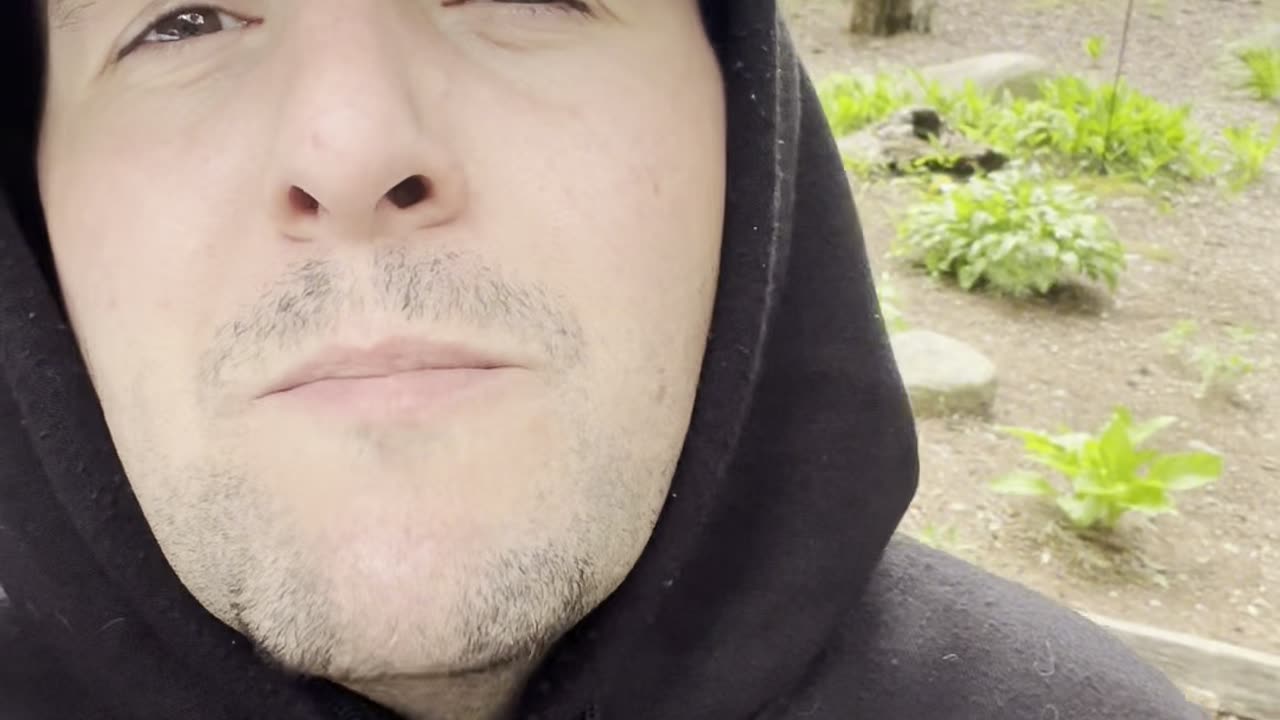 You can lead a horse to water