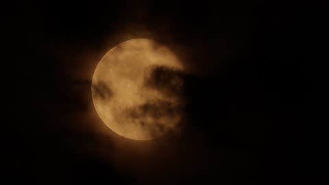 "You must be the change you wish to see in the world."