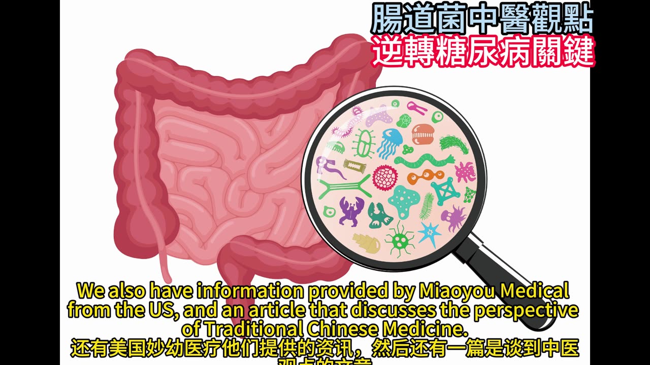 腸道菌中醫觀點 逆轉糖尿病關鍵