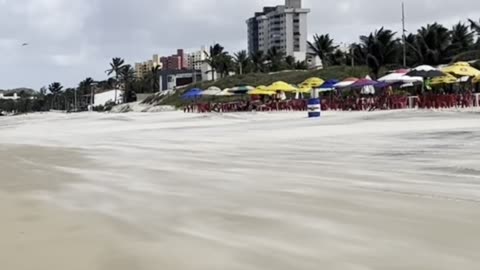 🇧🇷 The world’s LARGEST cashew tree is at this beach! 🏖️