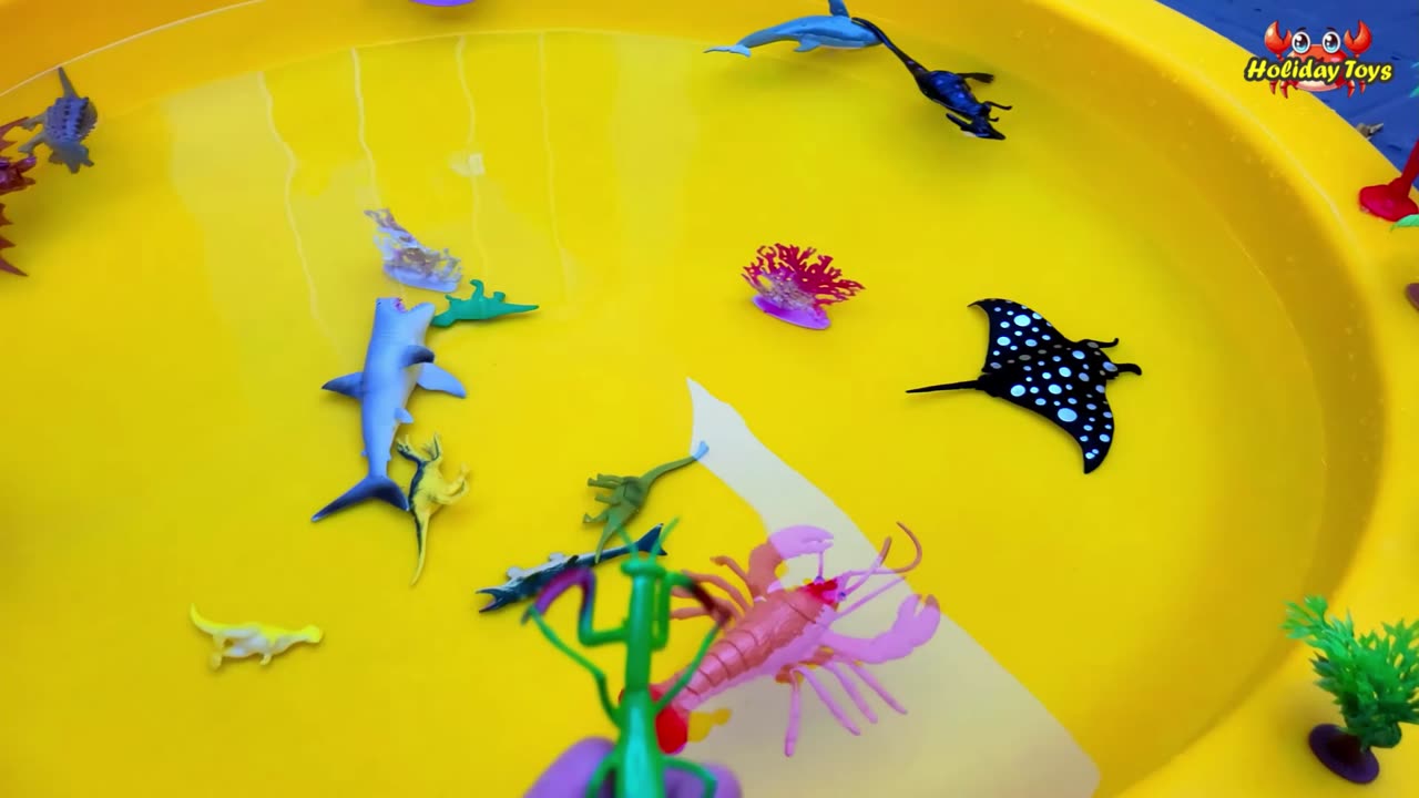 Manta Rays Dive Under the Sea for Shells