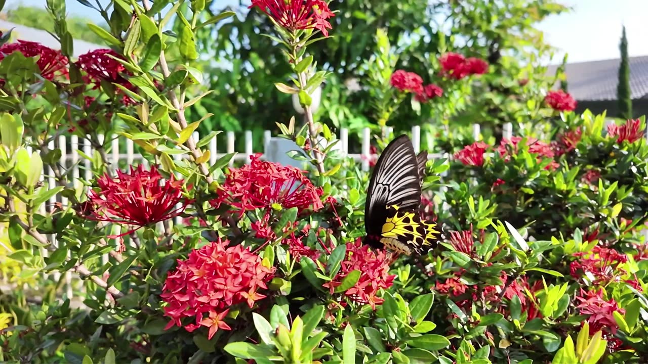 Top 10 Things To Do In Key West, Florida | Beaches, Sunsets & Key Lime Pie Guide In 4K