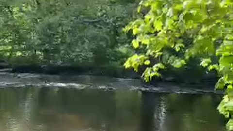Califon, NJ