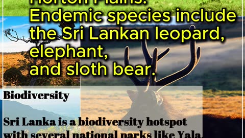 A bout Sir lanka