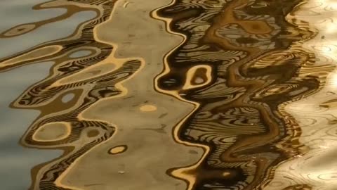 Daily Horoscope | Leo 🌟