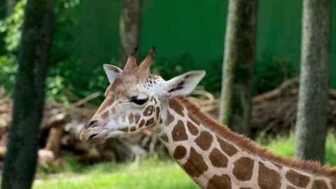 "Don’t go through life, grow through life."